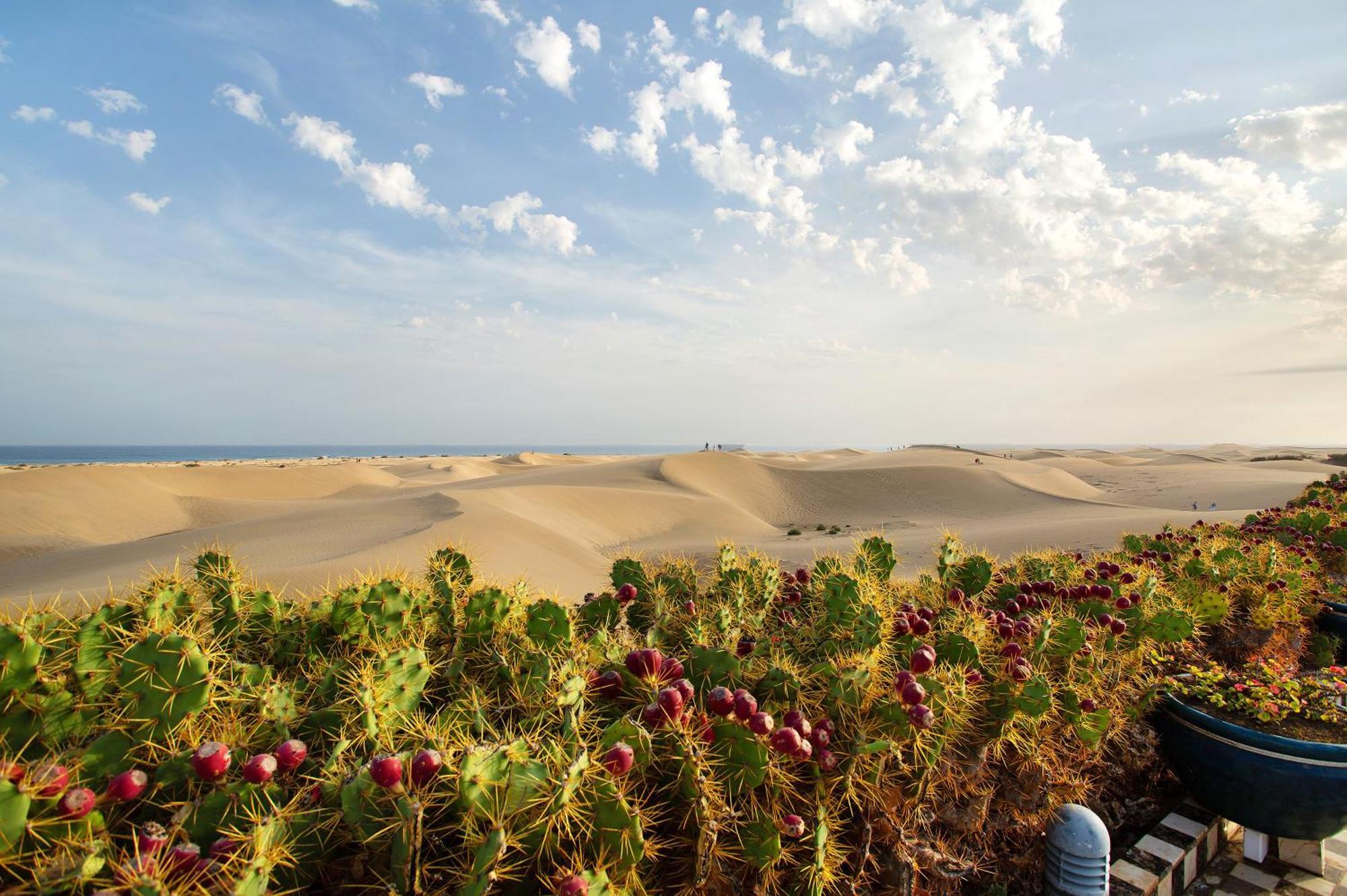 Villa Dunas Maspalomas Maspalomas  Buitenkant foto
